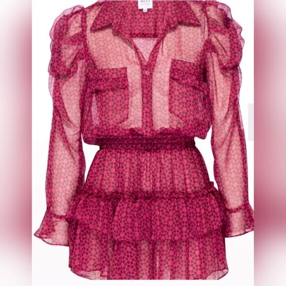 NWT MISA Los Angeles Anika Floral Chiffon Ruffle Mini Dress size XS - Picture 2 of 8